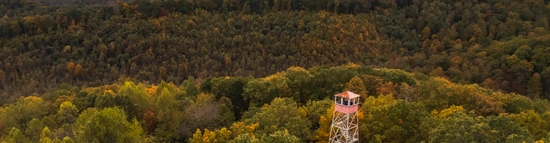Aerial view of a fire tower rising above a forested landscape with autumn foliage, as dramatic rays of sunlight break through the clouds and illuminate the rolling hills beyond.
